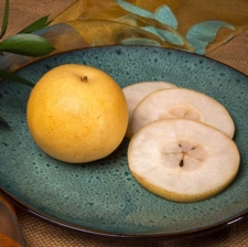 Fruit Variety :: New Pear