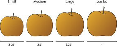 Image: Pear Size Chart
