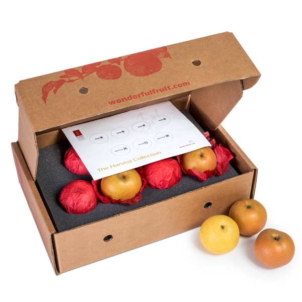 Exclusive Variety Collection of Asian Pears Gift Box