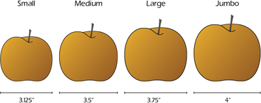 Pear Varieties Chart